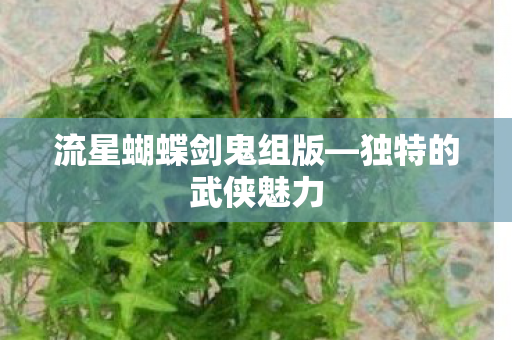 流星蝴蝶剑鬼组版图片