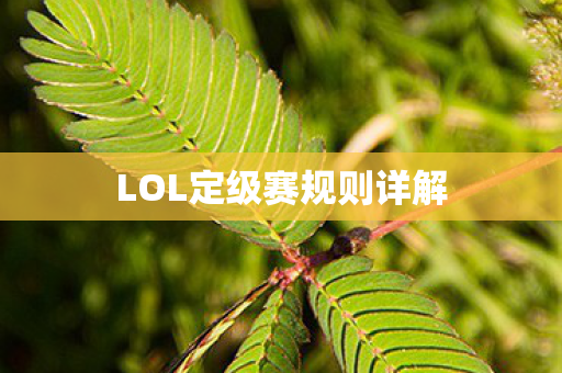 LOL定级赛规则详解图片