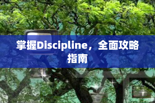 掌握Discipline图片