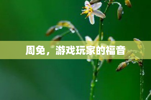 游戏玩家的福音图片