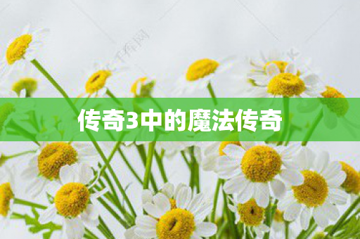 传奇3中的魔法传奇图片