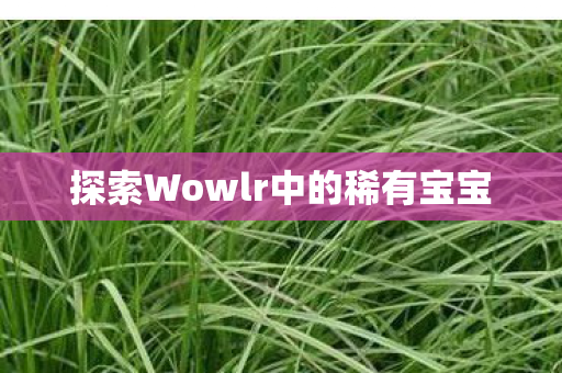 探索Wowlr中的稀有宝宝图片