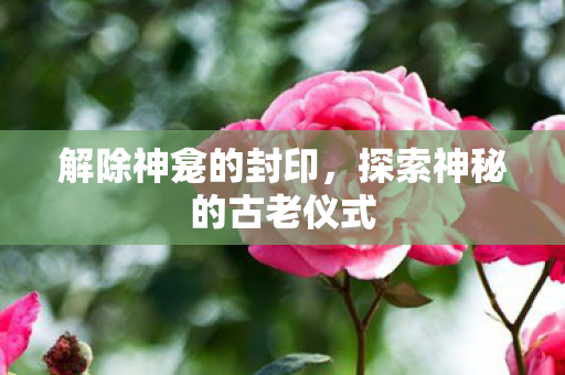探索神秘的古老仪式图片