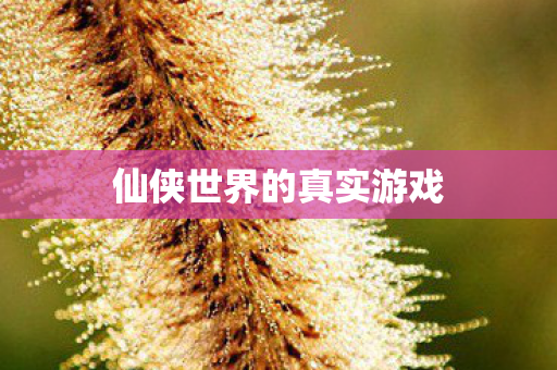 仙侠世界的真实游戏图片