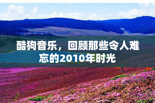 回顾那些令人难忘的2010年时光图片