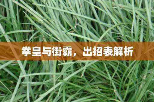 拳皇与街霸图片