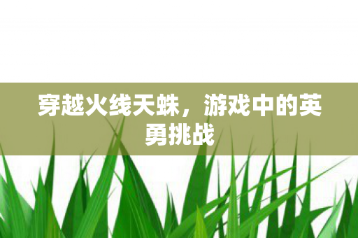 游戏中的英勇挑战图片