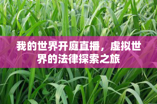 虚拟世界的法律探索之旅图片