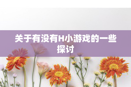 关于有没有H小游戏的一些探讨图片
