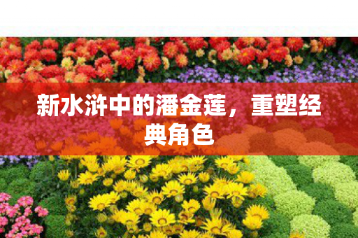 新水浒中的潘金莲图片