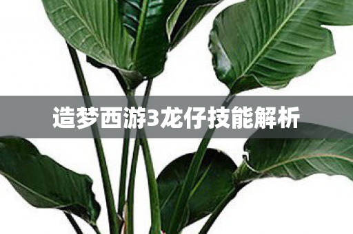 造梦西游3龙仔技能解析图片