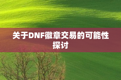 关于DNF徽章交易的可能性探讨图片