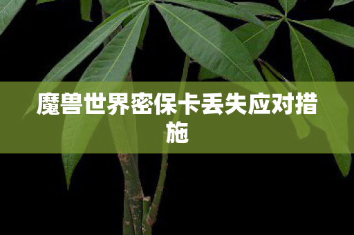 魔兽世界密保卡丢失应对措施图片