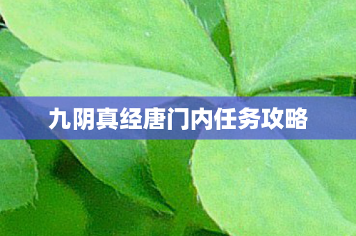 九阴真经唐门内任务攻略图片