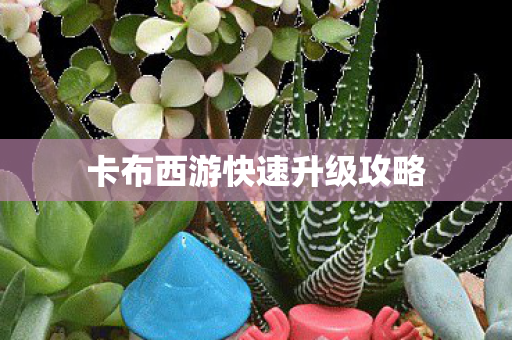 卡布西游快速升级攻略图片