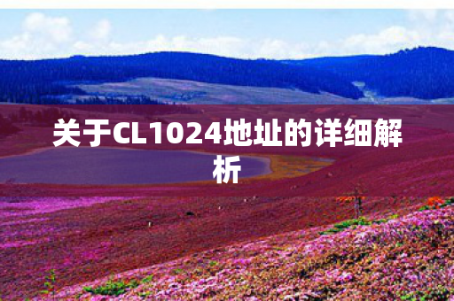 关于CL1024地址的详细解析图片