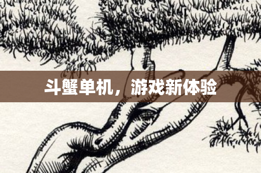 游戏新体验图片