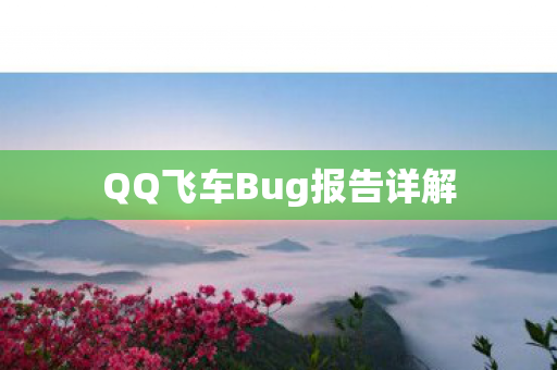 QQ飞车Bug报告详解图片