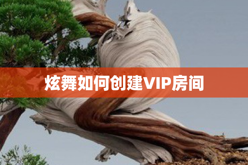 炫舞如何创建VIP房间图片