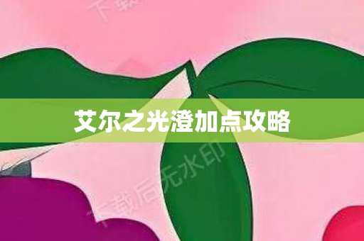 艾尔之光澄加点攻略图片