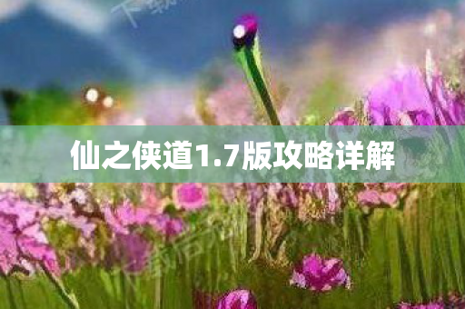 7版攻略详解图片