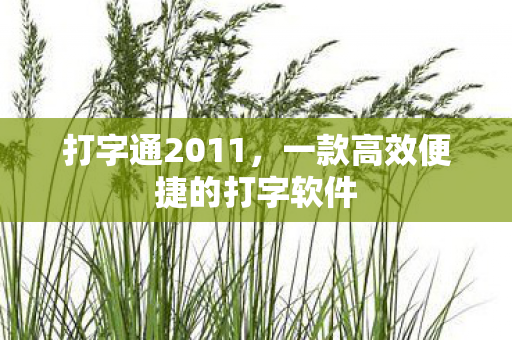 一款高效便捷的打字软件图片