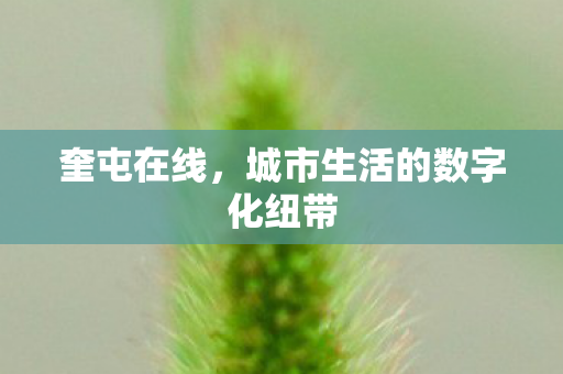 城市生活的数字化纽带图片
