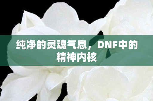 DNF中的精神内核图片