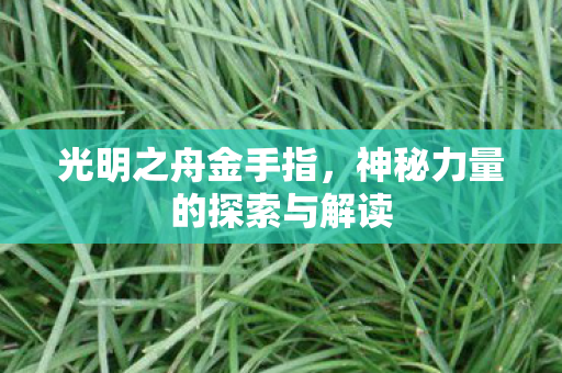 神秘力量的探索与解读图片