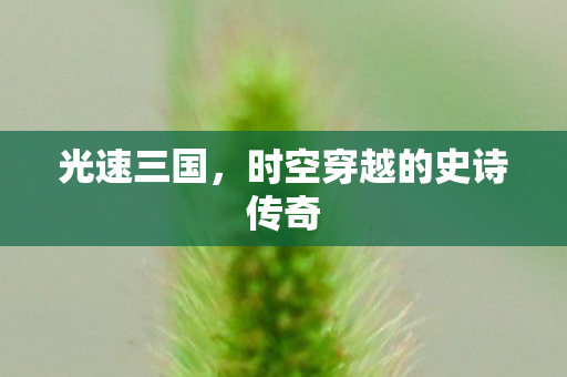 时空穿越的史诗传奇图片