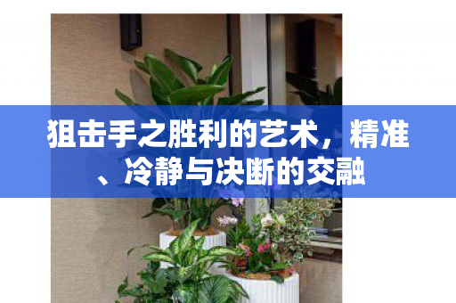 狙击手之胜利的艺术图片