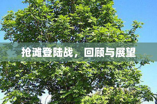 抢滩登陆战图片