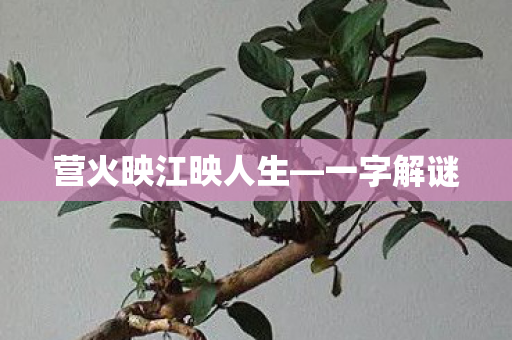营火映江映人生图片