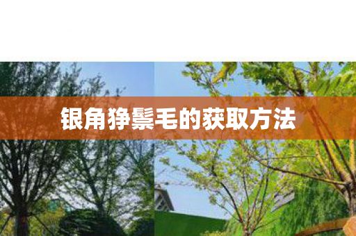银角狰鬃毛的获取方法图片
