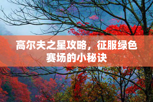 征服绿色赛场的小秘诀图片