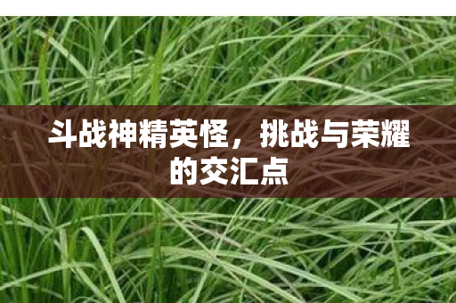 挑战与荣耀的交汇点图片