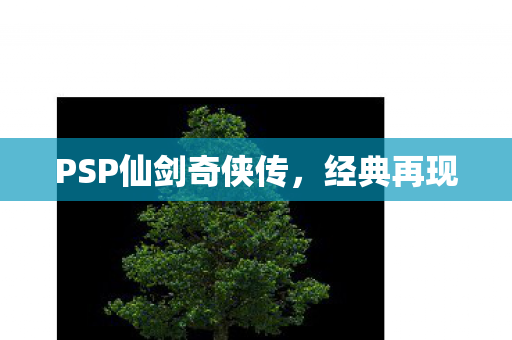 PSP仙剑奇侠传图片