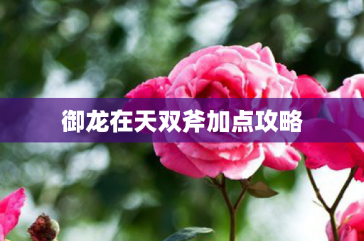 御龙在天双斧加点攻略图片