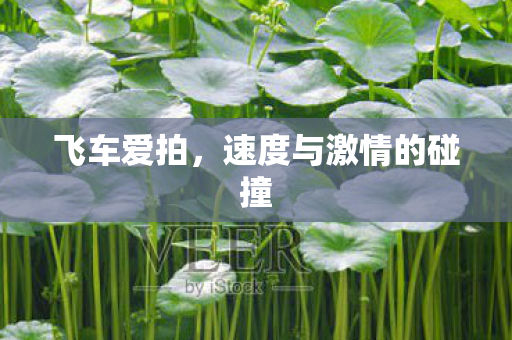 速度与激情的碰撞图片