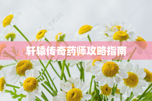 轩辕传奇药师攻略指南图片