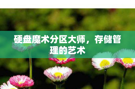 硬盘魔术分区大师图片