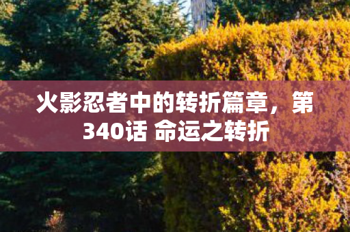 第340话 命运之转折图片