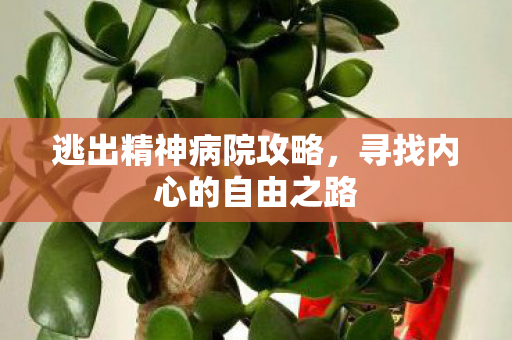 寻找内心的自由之路图片