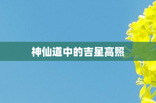 神仙道中的吉星高照图片