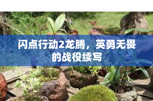 英勇无畏的战役续写图片