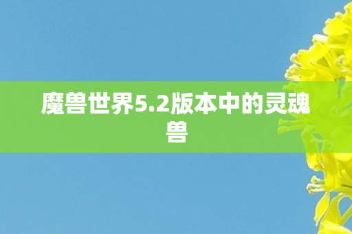 2版本中的灵魂兽图片