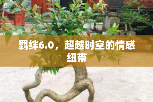 超越时空的情感纽带图片