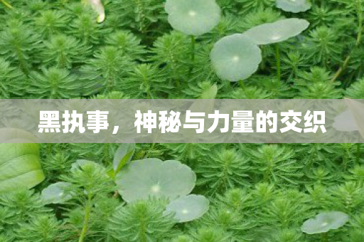 神秘与力量的交织图片