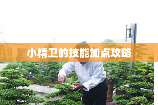 小精卫的技能加点攻略图片