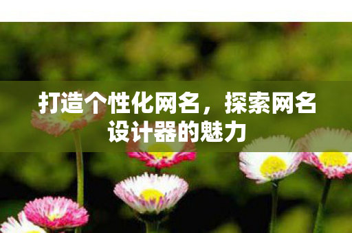 探索网名设计器的魅力图片
